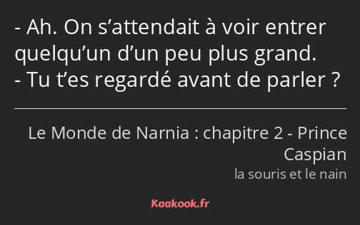 Ah. On s’attendait à voir entrer quelqu’un d’un peu plus grand. Tu t’es regardé avant de parler ?