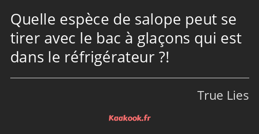 Quelle espèce de salope peut se tirer avec le bac à glaçons qui est dans le réfrigérateur ?!