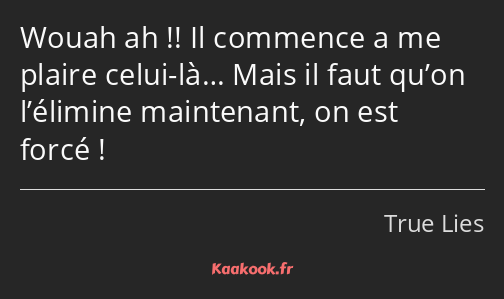 Wouah ah !! Il commence a me plaire celui-là… Mais il faut qu’on l’élimine maintenant, on est forcé…