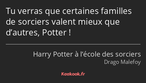 Tu verras que certaines familles de sorciers valent mieux que d’autres, Potter !