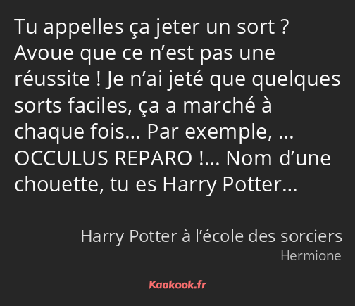 Tu appelles ça jeter un sort ? Avoue que ce n’est pas une réussite ! Je n’ai jeté que quelques…