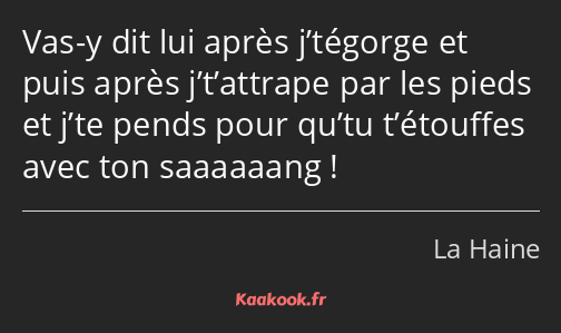 Vas-y dit lui après j’tégorge et puis après j’t’attrape par les pieds et j’te pends pour qu’tu…