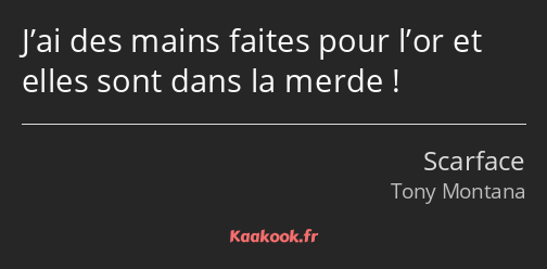 J’ai des mains faites pour l’or et elles sont dans la merde !