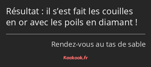 Résultat : il s’est fait les couilles en or avec les poils en diamant !