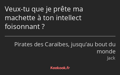 Veux-tu que je prête ma machette à ton intellect foisonnant ?