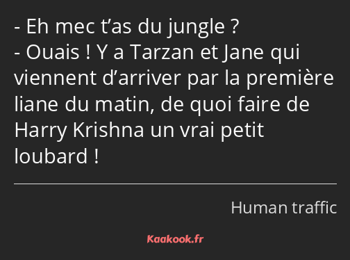 Eh mec t’as du jungle ? Ouais ! Y a Tarzan et Jane qui viennent d’arriver par la première liane du…