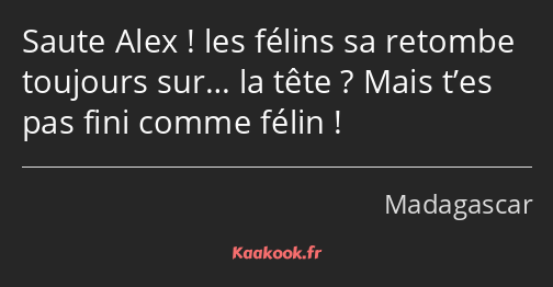 Saute Alex ! les félins sa retombe toujours sur… la tête ? Mais t’es pas fini comme félin !