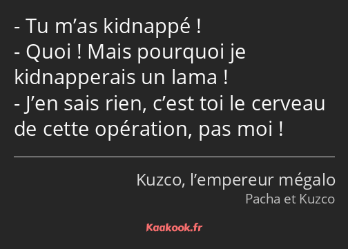 Tu m’as kidnappé ! Quoi ! Mais pourquoi je kidnapperais un lama ! J’en sais rien, c’est toi le…