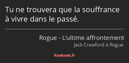 Tu ne trouvera que la souffrance à vivre dans le passé.