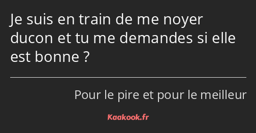 Je suis en train de me noyer ducon et tu me demandes si elle est bonne ?