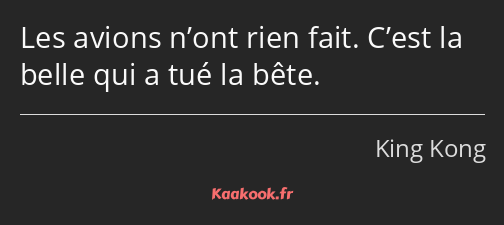 Les avions n’ont rien fait. C’est la belle qui a tué la bête.