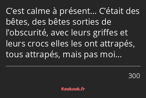 C’est calme à présent… C’était des bêtes, des bêtes sorties de l’obscurité, avec leurs griffes et…