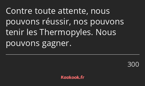 Contre toute attente, nous pouvons réussir, nos pouvons tenir les Thermopyles. Nous pouvons gagner.