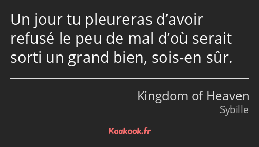 Un jour tu pleureras d’avoir refusé le peu de mal d’où serait sorti un grand bien, sois-en sûr.