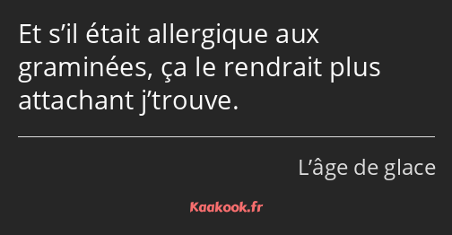 Et s’il était allergique aux graminées, ça le rendrait plus attachant j’trouve.