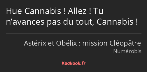 Hue Cannabis ! Allez ! Tu n’avances pas du tout, Cannabis !