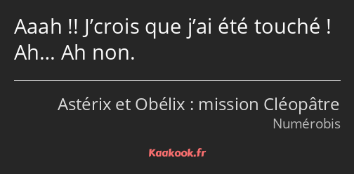 Aaah !! J’crois que j’ai été touché ! Ah… Ah non.