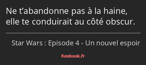 Ne t’abandonne pas à la haine, elle te conduirait au côté obscur.