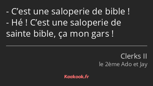 C’est une saloperie de bible ! Hé ! C’est une saloperie de sainte bible, ça mon gars !