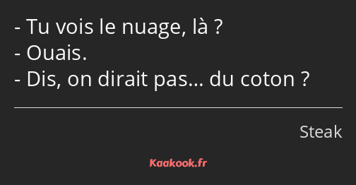 Tu vois le nuage, là ? Ouais. Dis, on dirait pas… du coton ?