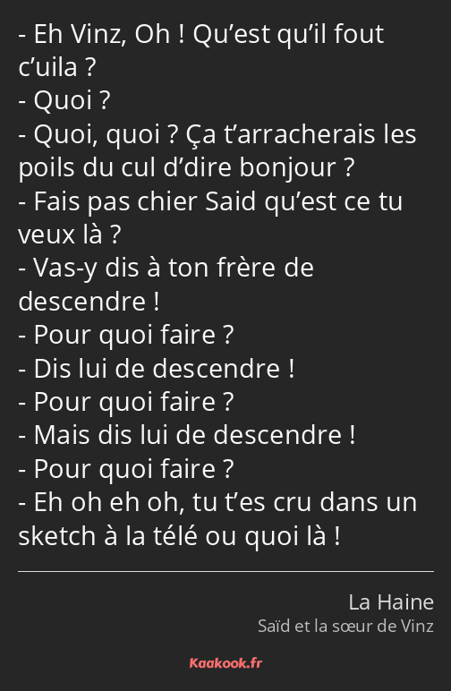 Eh Vinz, Oh ! Qu’est qu’il fout c’uila ? Quoi ? Quoi, quoi ? Ça t’arracherais les poils du cul…