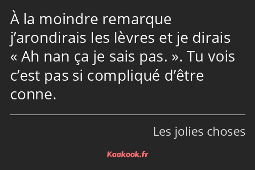 À la moindre remarque j’arondirais les lèvres et je dirais Ah nan ça je sais pas.. Tu vois c’est…