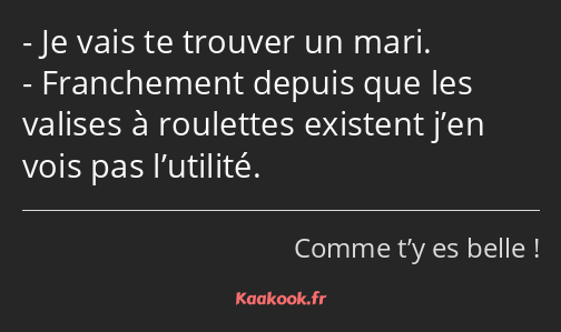 Je vais te trouver un mari. Franchement depuis que les valises à roulettes existent j’en vois pas…