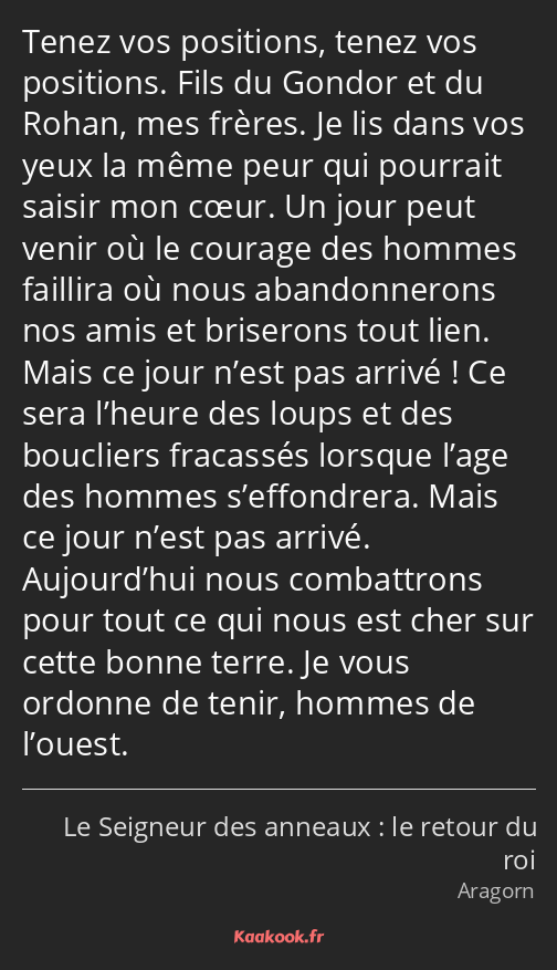 Tenez vos positions, tenez vos positions. Fils du Gondor et du Rohan, mes frères. Je lis dans vos…