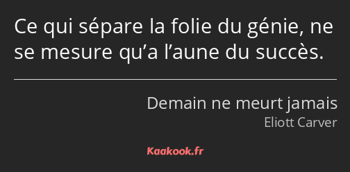 Ce qui sépare la folie du génie, ne se mesure qu’a l’aune du succès.