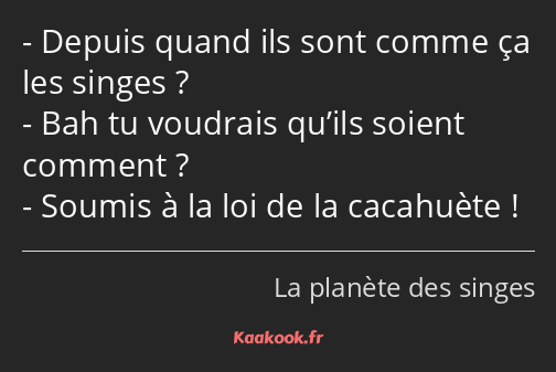 Depuis quand ils sont comme ça les singes ? Bah tu voudrais qu’ils soient comment ? Soumis à la loi…