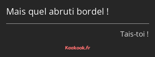 Mais quel abruti bordel !