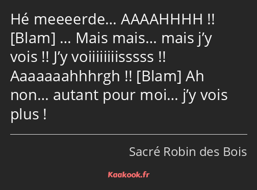 Hé meeeerde… AAAAHHHH !! … Mais mais… mais j’y vois !! J’y voiiiiiiiisssss !! Aaaaaaahhhrgh !! Ah…