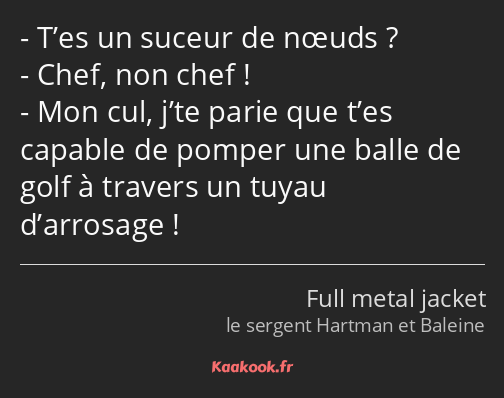 T’es un suceur de nœuds ? Chef, non chef ! Mon cul, j’te parie que t’es capable de pomper une balle…