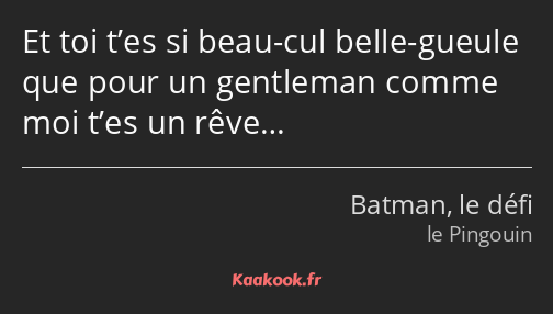 Et toi t’es si beau-cul belle-gueule que pour un gentleman comme moi t’es un rêve…