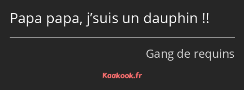 Papa papa, j’suis un dauphin !!