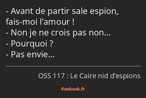 Avant de partir sale espion, fais-moi l’amour ! Non je ne crois pas non… Pourquoi ? Pas envie…