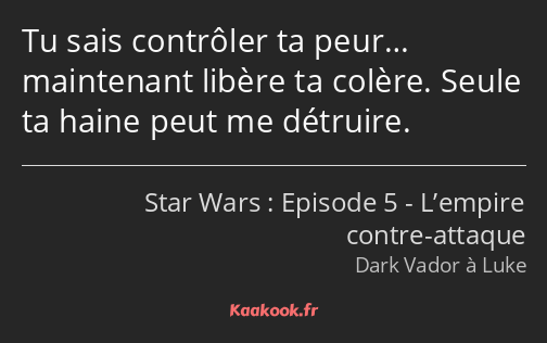 Tu sais contrôler ta peur… maintenant libère ta colère. Seule ta haine peut me détruire.