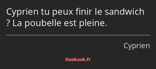 Cyprien tu peux finir le sandwich ? La poubelle est pleine.