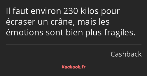 Il faut environ 230 kilos pour écraser un crâne, mais les émotions sont bien plus fragiles.