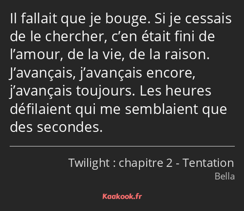 Il fallait que je bouge. Si je cessais de le chercher, c’en était fini de l’amour, de la vie, de la…