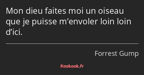 Mon dieu faites moi un oiseau que je puisse m’envoler loin loin d’ici.