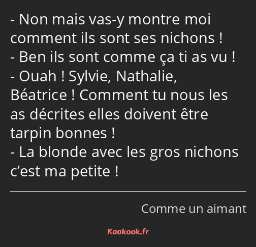 Non mais vas-y montre moi comment ils sont ses nichons ! Ben ils sont comme ça ti as vu ! Ouah…