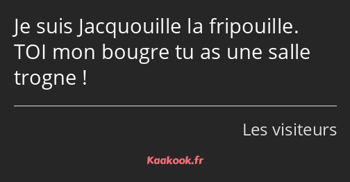 Je suis Jacquouille la fripouille. TOI mon bougre tu as une salle trogne !