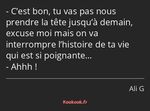 C’est bon, tu vas pas nous prendre la tête jusqu’à demain, excuse moi mais on va interrompre…