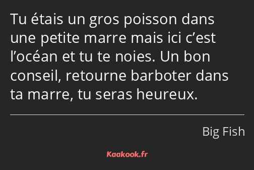 Tu étais un gros poisson dans une petite marre mais ici c’est l’océan et tu te noies. Un bon…