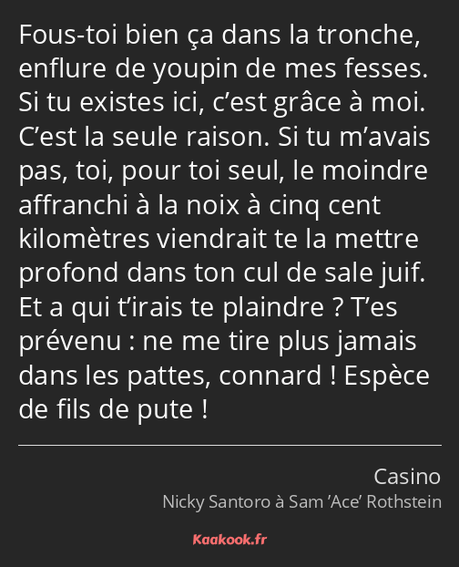 Fous-toi bien ça dans la tronche, enflure de youpin de mes fesses. Si tu existes ici, c’est grâce à…