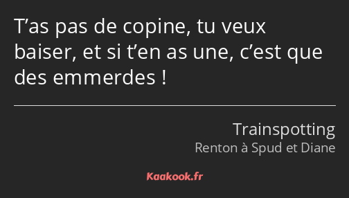 T’as pas de copine, tu veux baiser, et si t’en as une, c’est que des emmerdes !