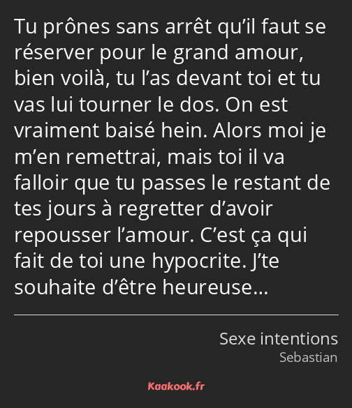 Tu prônes sans arrêt qu’il faut se réserver pour le grand amour, bien voilà, tu l’as devant toi et…