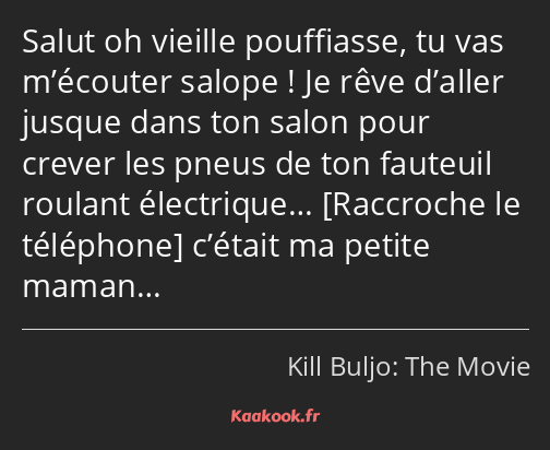 Salut oh vieille pouffiasse, tu vas m’écouter salope ! Je rêve d’aller jusque dans ton salon pour…