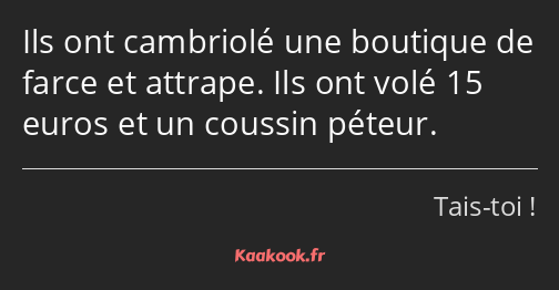 Ils ont cambriolé une boutique de farce et attrape. Ils ont volé 15 euros et un coussin péteur.